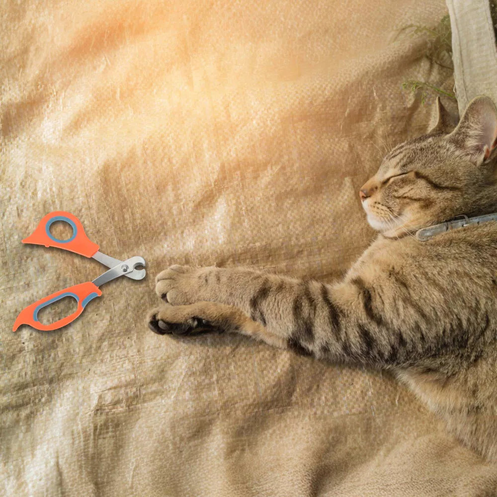 Juego de tijeras y lima para uñas de mascotas