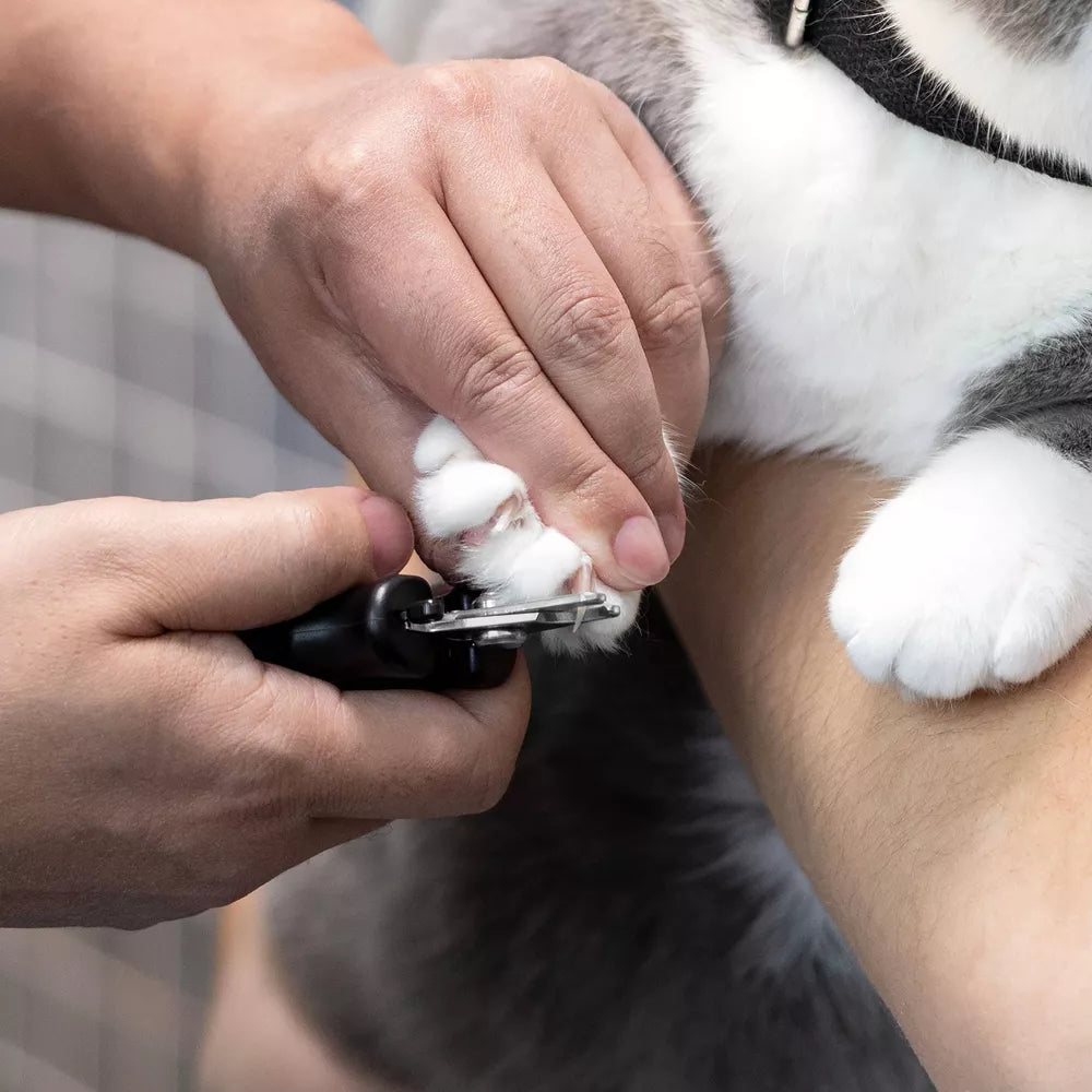 Cortauñas ergonómico con cierre automático para perros y gatos