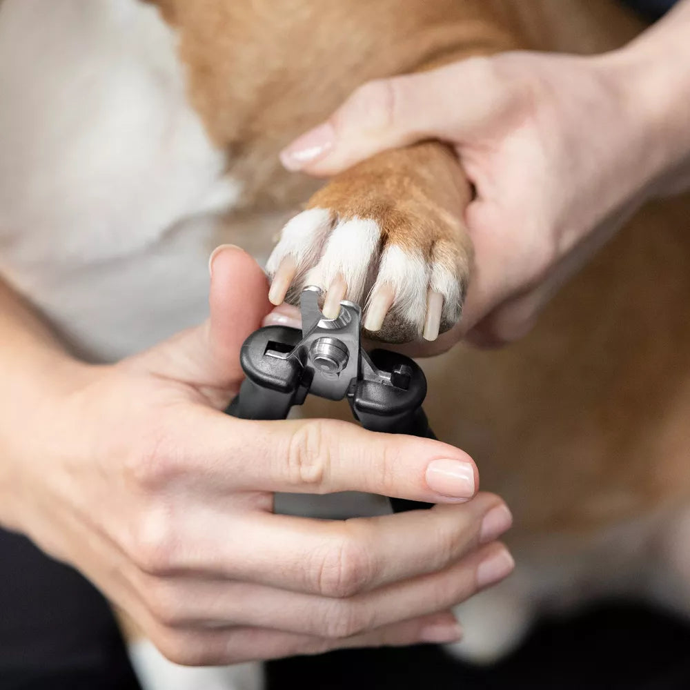 Cortauñas ergonómico con cierre automático para perros y gatos